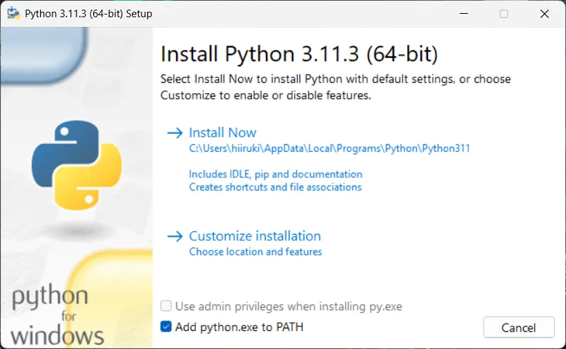 python installation